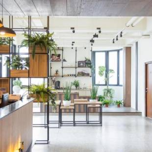 Фотографии гостиницы 
            Rainbow Hotel