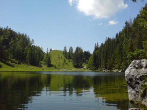 Фотография гостевого дома Gästehaus Flora