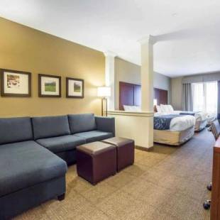 Фотографии гостиницы
Comfort Suites Airport-University