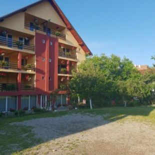 Фотография гостевого дома Pensiunea Mary