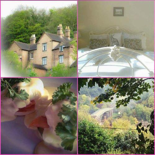 Фотография мини отеля Heritage View Guest House