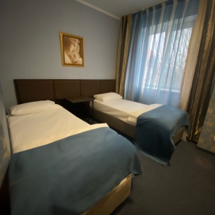 Фотография номера гостиницы Отель Ренессанс