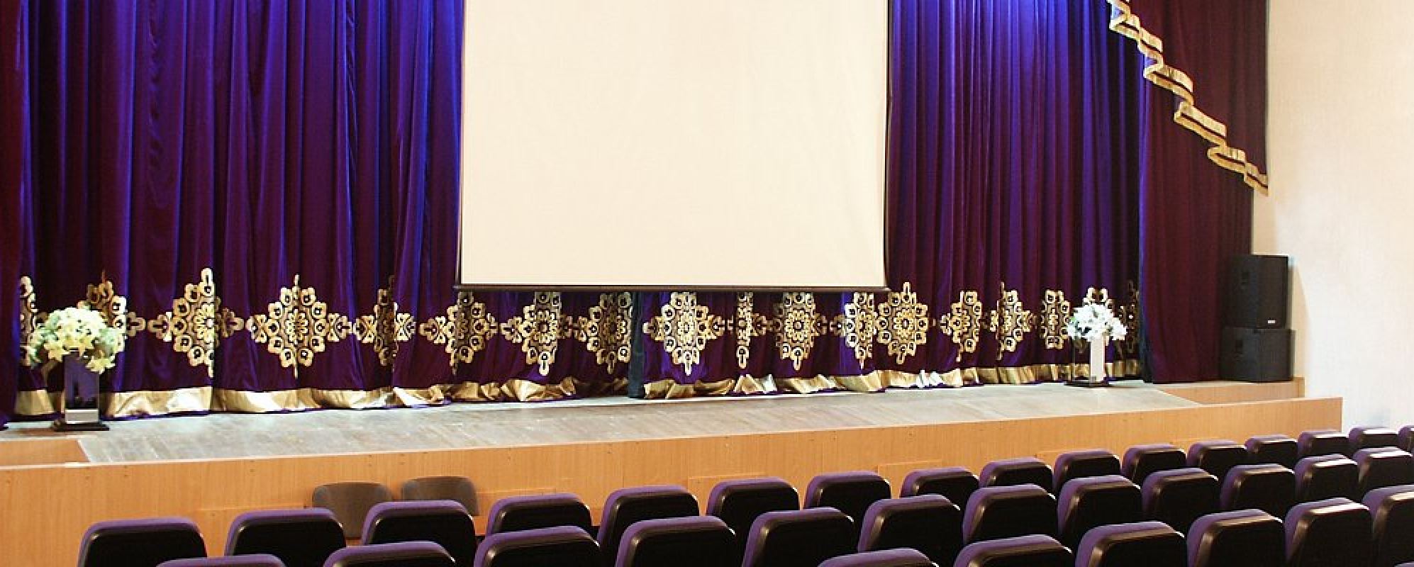 Фотографии конференц-зала Кинозал