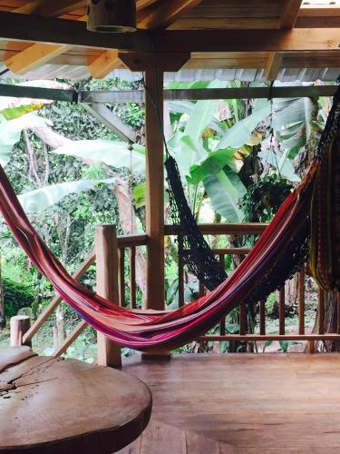 Фотография хостела La Casa de Cecilia Mindo