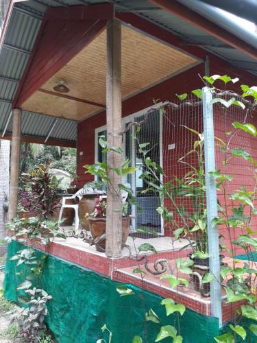 Фотография гостевого дома Pink Kangaroo Bungalows