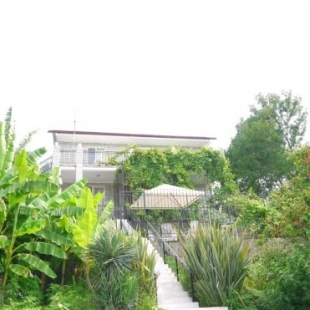 Фотография мини отеля Адлерский бриз