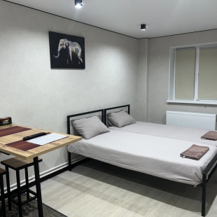 Фотография квартиры Квартира Фурманова 22Д