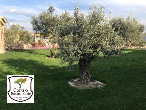 Фотография гостевого дома Cortijo Bustamante