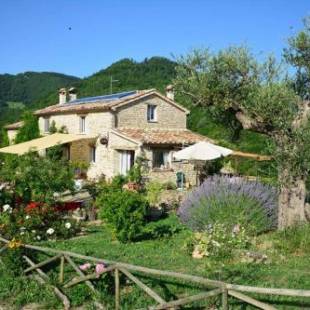 Фотографии базы отдыха
B&B La Pace