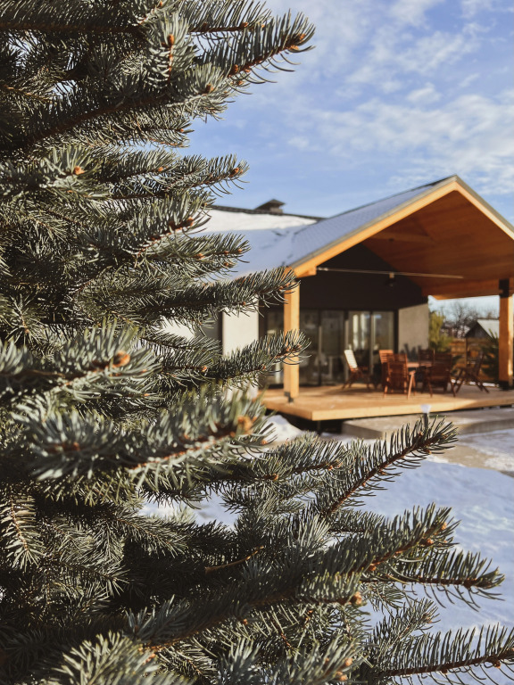 Фотография Коттеджа Частный дом Scandi House