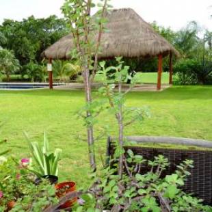 Фотографии мини отеля
B&B Mom's House