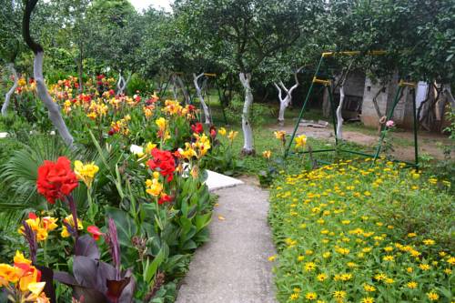 Фотография гостевого дома Kvariati Grand Guest House