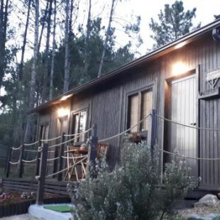 Фотография гостевого дома Casinha do Cedro