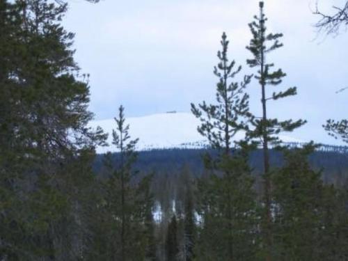 Фотография гостевого дома Holiday Home Jousimaja