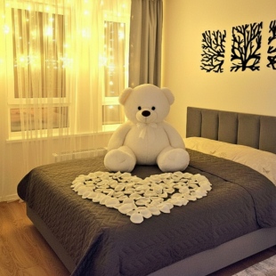 Фотография квартиры Апартаменты Люкс - 65 лет Победы