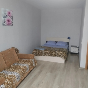 Фотография квартиры Апартаменты в аэропорт Кольцово