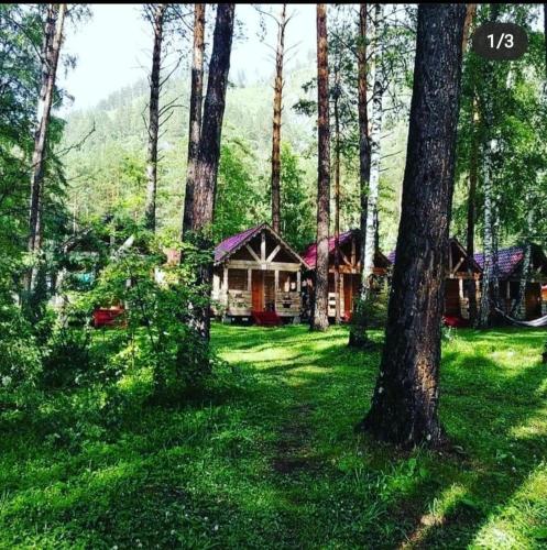 Фотография базы отдыха Клевая поляна