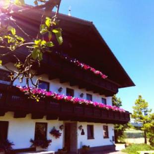 Фотографии базы отдыха
Schusterbauer