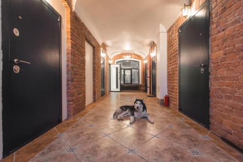 Фотографии апарт отеля
Окошки