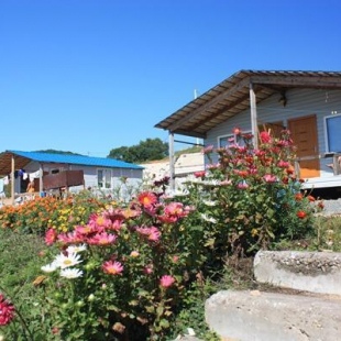 Фотография базы отдыха Парус-А