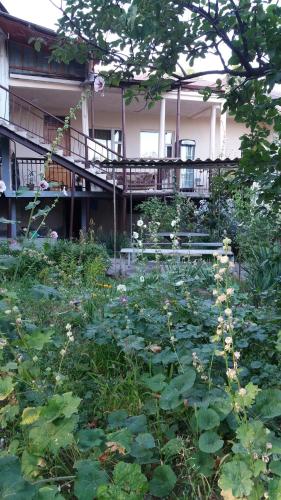 Фотография гостевого дома Селина