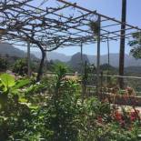 Фотография гостевого дома Casa Roja