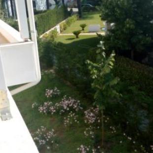 Фотография Коттеджа Eco-House Lalzi Bay