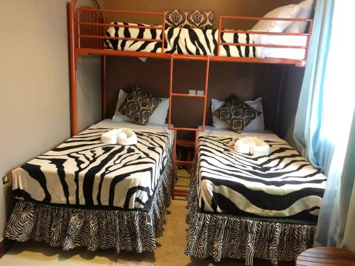 Фотография хостела Savannah House