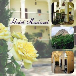 Фотографии гостиницы 
            Hotel Mariazel