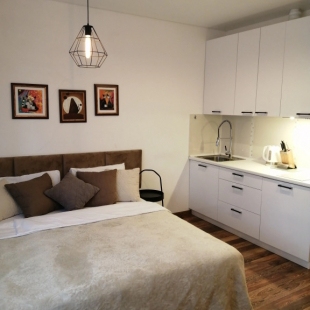 Фотография квартиры Квартира в исторической части города центр