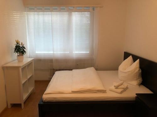 Фотография Жилья Luxury Black-White Room