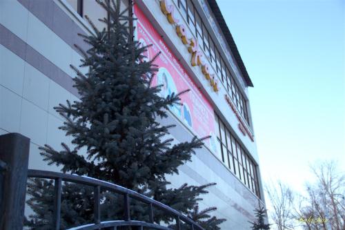 Фотография гостиницы Аркалык