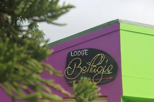 Фотография гостевого дома Lodge Bellagio