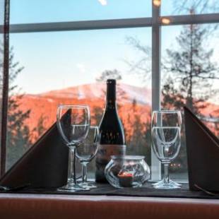 Фотографии гостиницы
Hotel Ylläsrinne