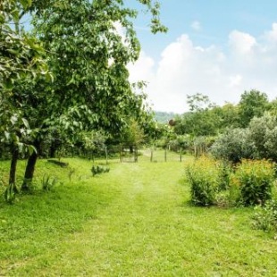 Фотография мини отеля Daraselia61