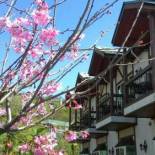 Фотография гостевого дома StarVilla