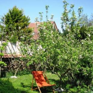 Фотографии гостевого дома
Le temps des cigognes