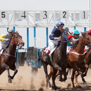 Фотография достопримечательности Элистинский ипподром
