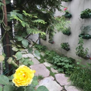 Фотография хостела Hostel Pop Bogomil