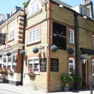 Фотографии мини отеля 
            The Stag Enfield