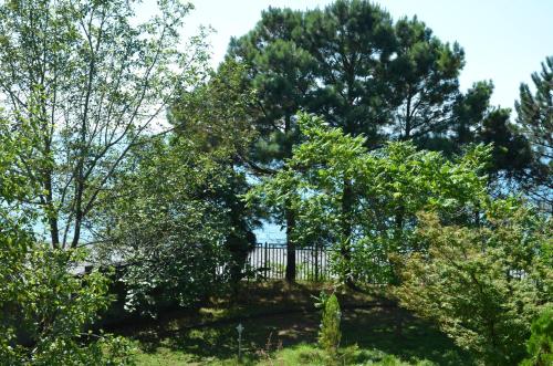 Фотографии гостевого дома
Букнари