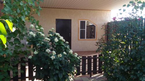 Фотографии гостевого дома
Поле Чудес