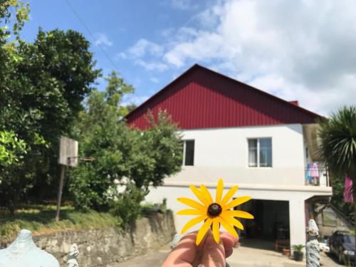 Фотография гостевого дома Nika's Guest House