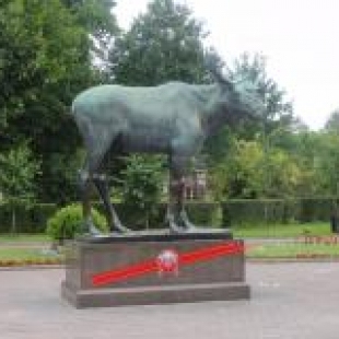 Фотография памятника Скульптура лося