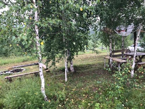 Фотографии кемпинга
На Земляничной, 45