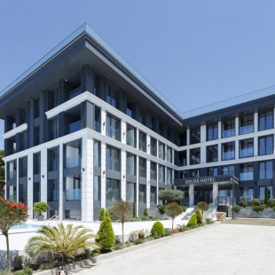 Фотография конференц-зала Delos