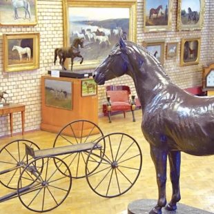 Фотография Музей коневодства Московской сельскохозяйственной академии им. К.А.Тимирязева