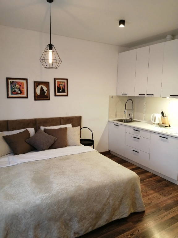 Фотография квартиры Квартира в исторической части города центр