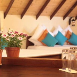 Фотография гостиницы Cottage San Francesco