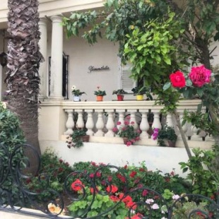 Фотография мини отеля Villa Zammitella